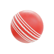 Sukan icon